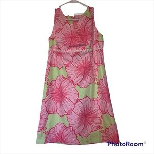 Lilly Pulitzer Sleeveless High Waist Cotton Lined Sun Dress Size 8 Daisy Details